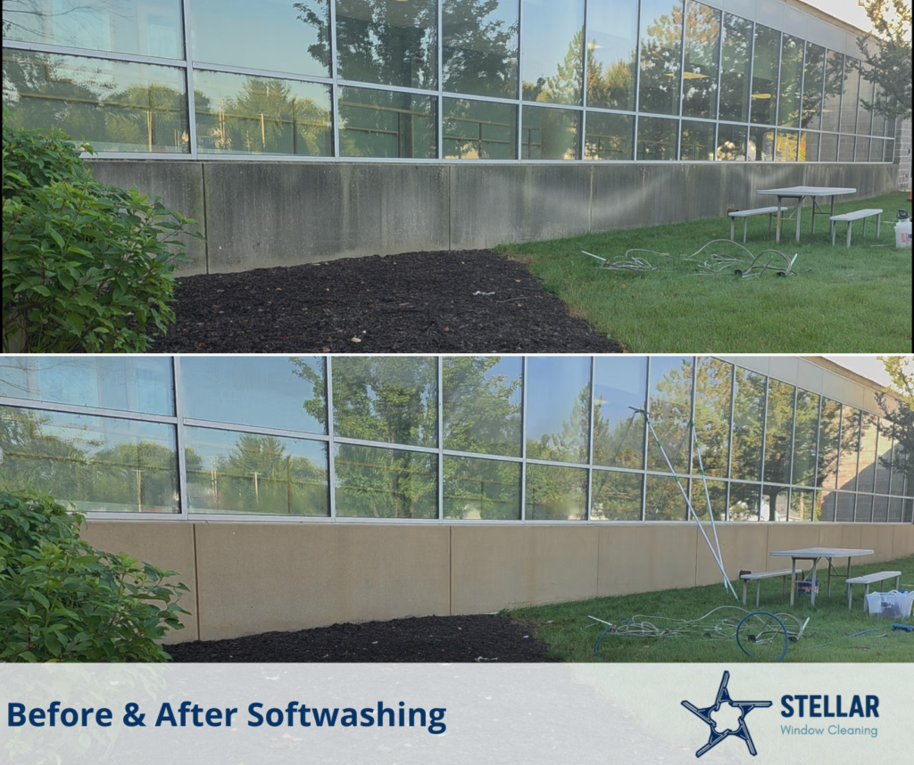 before & after material