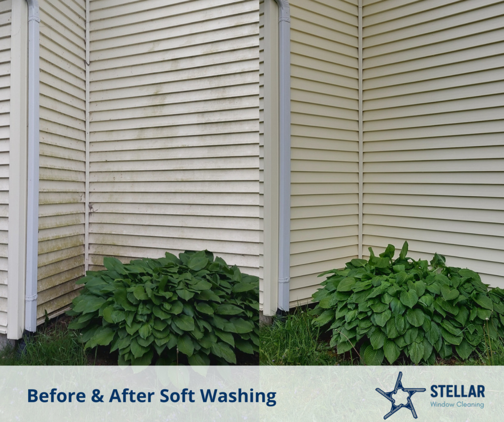 before & after material (3)