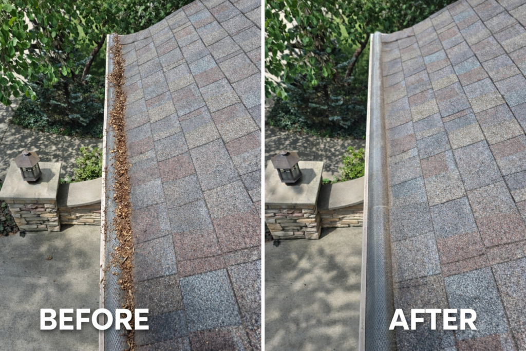 chatgpt image jan 29, 2026, 01 21 29 pm