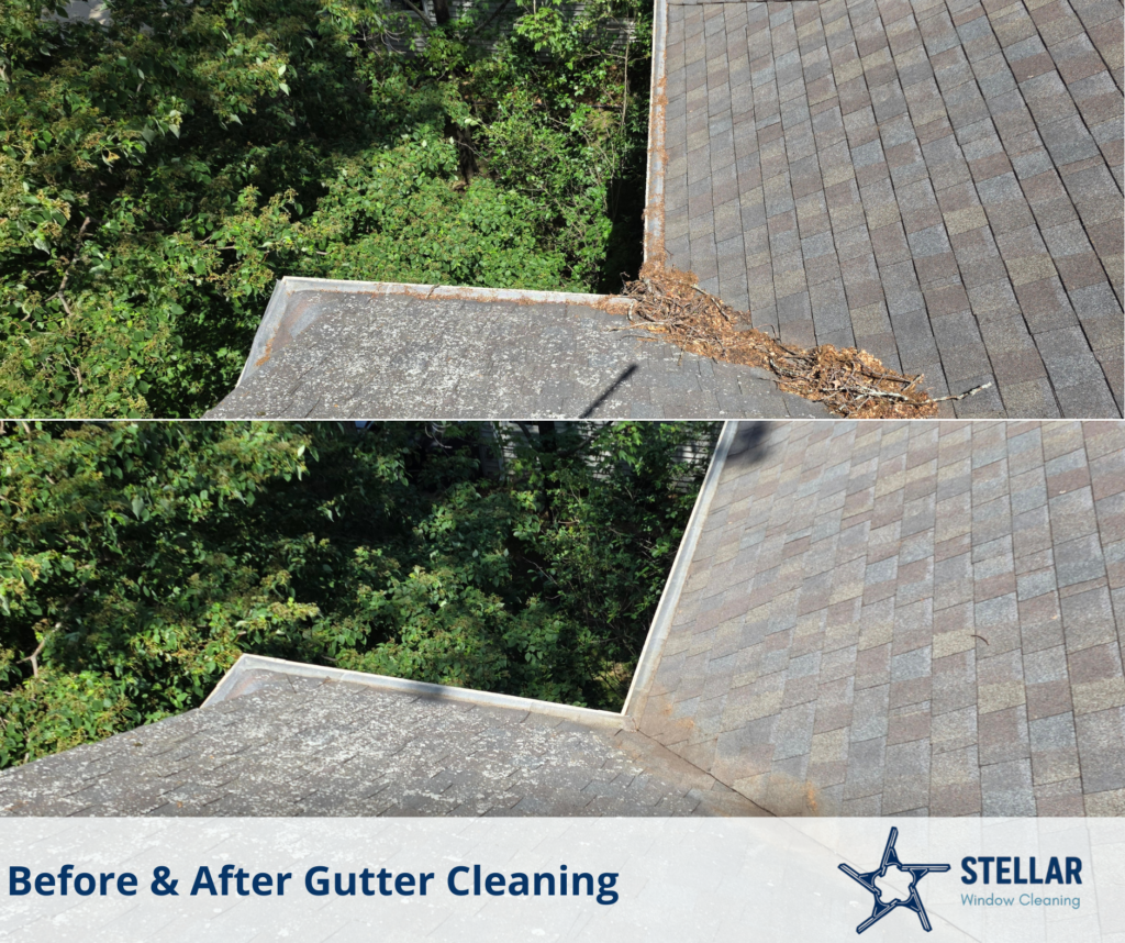 roof & gutter cleaning (1)